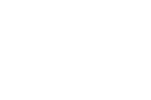 Speedline